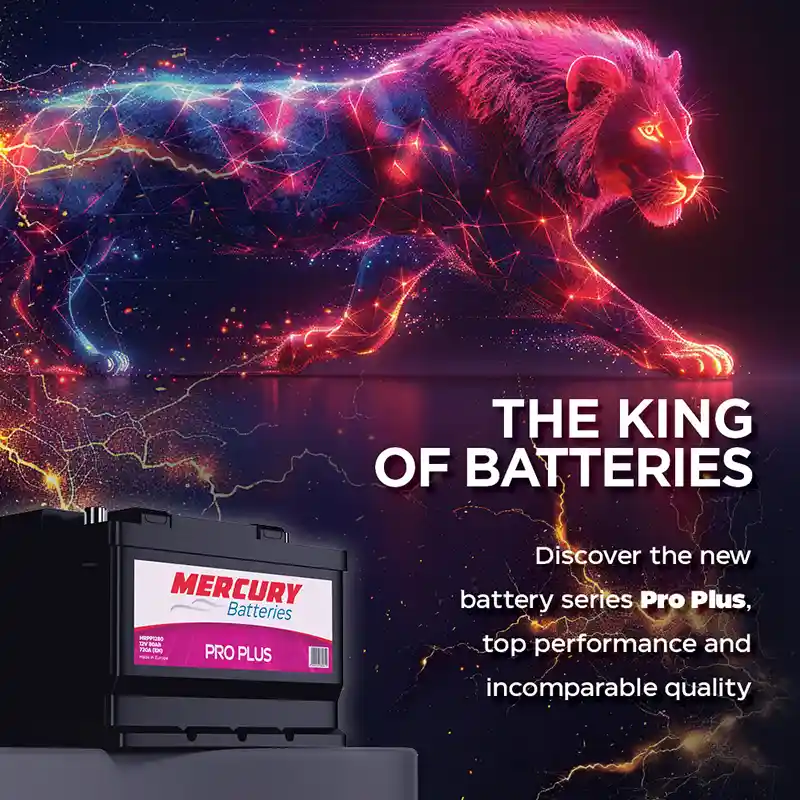 the king of batteries is the pro plus series from MERCURY Batteries