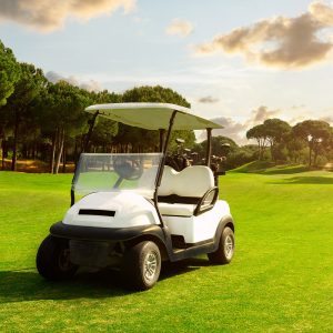 Golf Cart Batteries