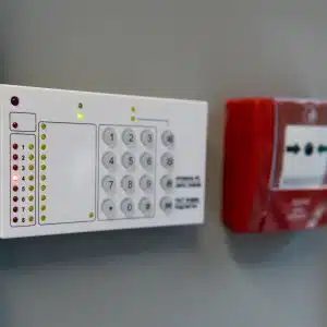 Alarm batteries